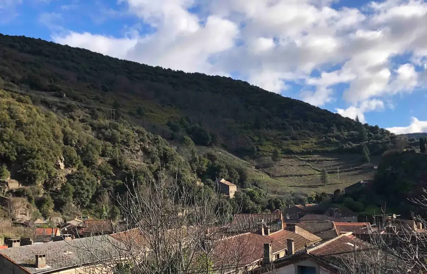 Les toits de Mas-Cabardès et la colline boisée de la Montagne Noire